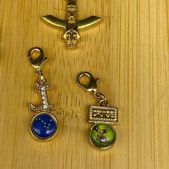 Set of 9 gold plated charms and one 1/5g 10k gold charm with a total wt of 24g - Picture 7 of 16